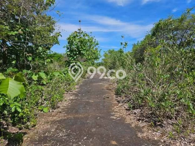 Dijual Tanah Lokasi Balangan, Badung Seluas 20m2 Dijual Tanah Lokasi Balangan, Badung Seluas 20m2