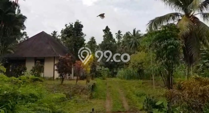 Lahan Investasi Lokasi Kalawat Minahasa Utara SHM Lahan Investasi Lokasi Kalawat Minahasa Utara SHM