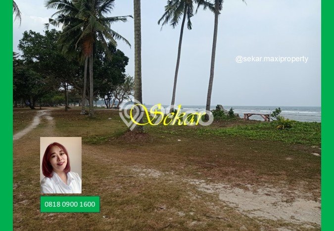 Tanah Kavling untuk Dijual di Carita Pandeglang 460000m2 Tanah Kavling untuk Dijual di Carita Pandeglang 460000m2