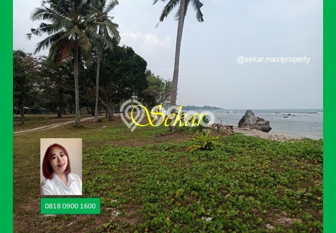 Tanah Kavling untuk Dijual di Carita Pandeglang 460000m2 Tanah Kavling untuk Dijual di Carita Pandeglang 460000m2