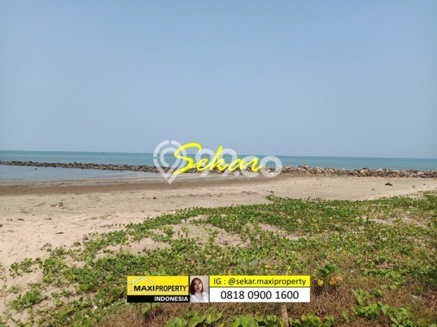 Jarang Ada! Tanah di Carita Punya Luas 180000m2 SHM Jarang Ada! Tanah di Carita Punya Luas 180000m2 SHM