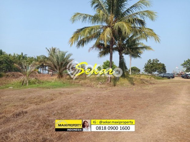 Jarang Ada! Tanah di Carita Punya Luas 180000m2 SHM Jarang Ada! Tanah di Carita Punya Luas 180000m2 SHM