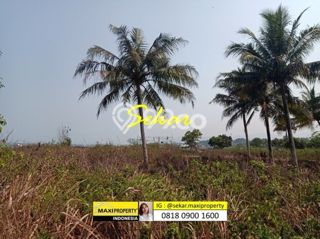 Jarang Ada! Tanah di Carita Punya Luas 180000m2 SHM Jarang Ada! Tanah di Carita Punya Luas 180000m2 SHM