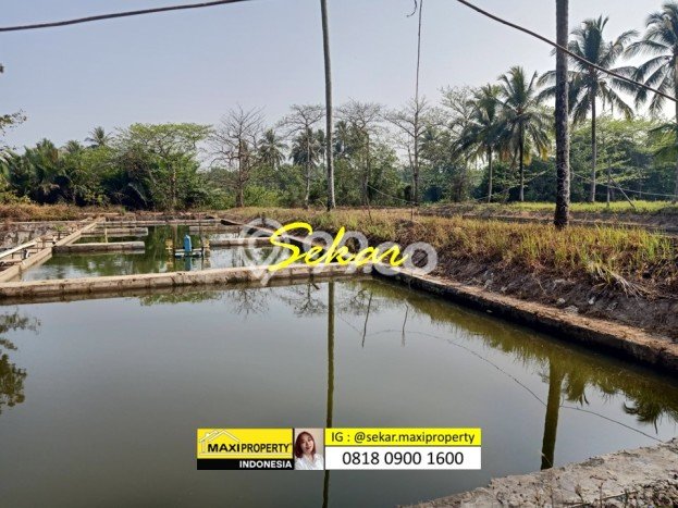 Jarang Ada! Tanah di Carita Punya Luas 180000m2 SHM Jarang Ada! Tanah di Carita Punya Luas 180000m2 SHM