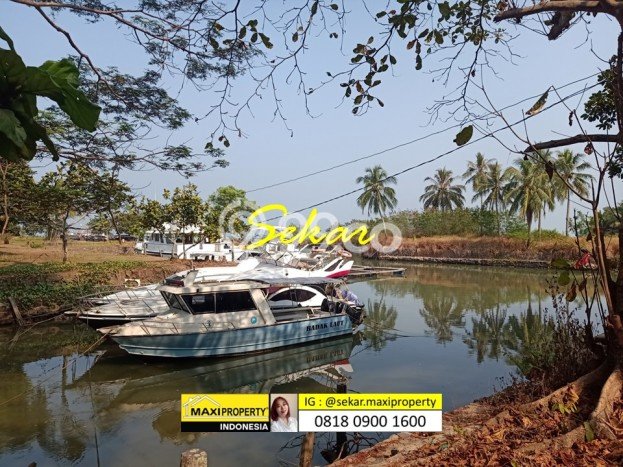 Jarang Ada! Tanah di Carita Punya Luas 180000m2 SHM Jarang Ada! Tanah di Carita Punya Luas 180000m2 SHM