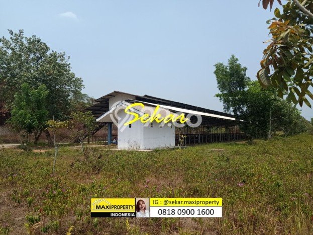 Lahan Strategis di Labuan Dijual dengan Luas 500000m2 Lahan Strategis di Labuan Dijual dengan Luas 500000m2