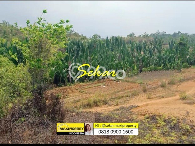 Lahan Strategis di Labuan Dijual dengan Luas 500000m2 Lahan Strategis di Labuan Dijual dengan Luas 500000m2