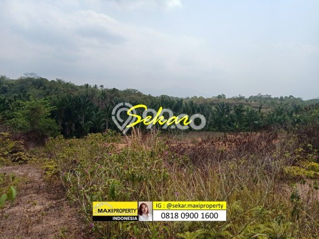 Lahan Strategis di Labuan Dijual dengan Luas 500000m2 Lahan Strategis di Labuan Dijual dengan Luas 500000m2