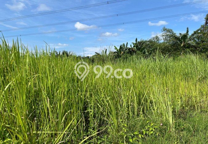 Dijual Tanah di Maja Lebak Luas 3400m2 SHM Dijual Tanah di Maja Lebak Luas 3400m2 SHM