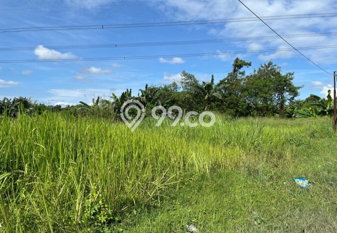 Dijual Tanah di Maja Lebak Luas 3400m2 SHM Dijual Tanah di Maja Lebak Luas 3400m2 SHM