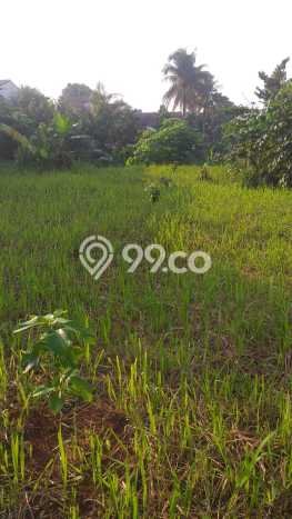 Kavling Tanah di Depok Dijual Luas 4185m2 Legalitas SHM Kavling Tanah di Depok Dijual Luas 4185m2 Legalitas SHM