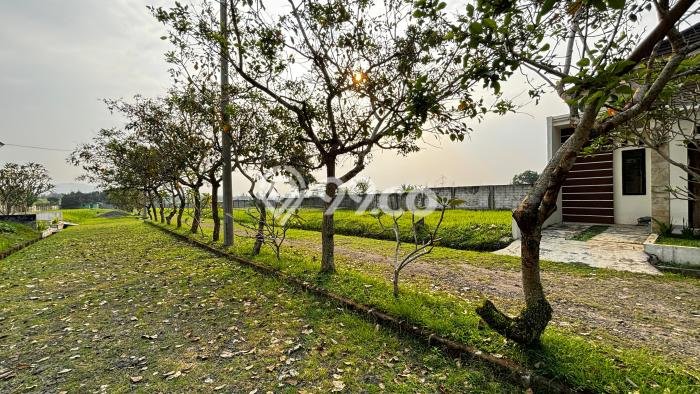 Tanah Dijual Lokasi Ranca Bungur, Bogor Luas 7975m2 Legalitas Aman Tanah Dijual Lokasi Ranca Bungur, Bogor Luas 7975m2 Legalitas Aman