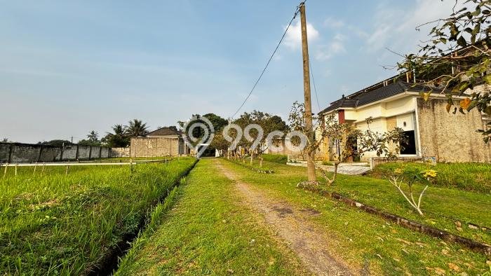 Tanah Dijual Lokasi Ranca Bungur, Bogor Luas 7975m2 Legalitas Aman Tanah Dijual Lokasi Ranca Bungur, Bogor Luas 7975m2 Legalitas Aman