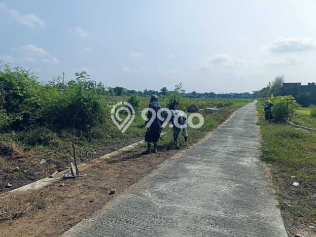 AREA PROSPEKTIF! Tanah Kawasan Sleman, Luas 1388m2m², Dekat Fasilitas Umum, Kawasan Potensial AREA PROSPEKTIF! Tanah Kawasan Sleman, Luas 1388m2m², Dekat Fasilitas Umum, Kawasan Potensial