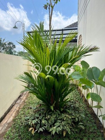 Hunian Cantik Modern Lb 115m2 di Sleman, Sleman Hunian Cantik Modern Lb 115m2 di Sleman, Sleman