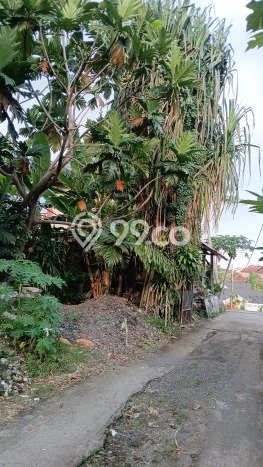 Tanah Disewa di Pererenan Strategis dan Memiliki Luas 450m2 Tanah Disewa di Pererenan Strategis dan Memiliki Luas 450m2