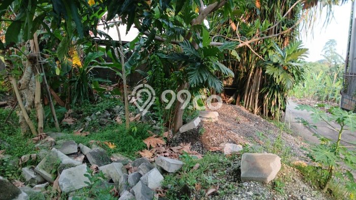 Tanah Disewa di Pererenan Strategis dan Memiliki Luas 450m2 Tanah Disewa di Pererenan Strategis dan Memiliki Luas 450m2