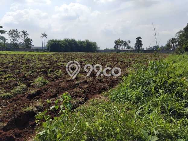 Lahan untuk Dijual di Cisauk Tangerang Luas 15000m2 Lahan untuk Dijual di Cisauk Tangerang Luas 15000m2