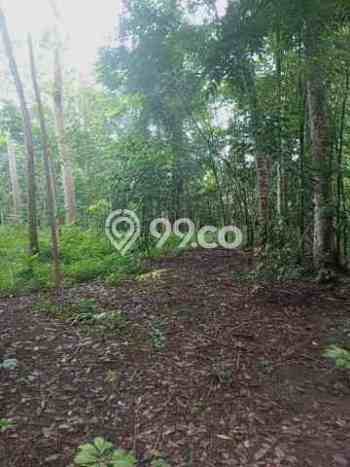 Dijual Tanah di Cinangka Serang Luas 2874m2 AJB Dijual Tanah di Cinangka Serang Luas 2874m2 AJB