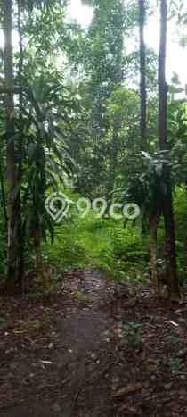 Dijual Tanah di Cinangka Serang Luas 2874m2 AJB Dijual Tanah di Cinangka Serang Luas 2874m2 AJB