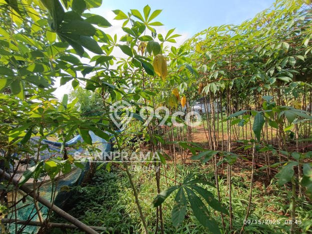 Tanah Kosong Dijual di Depok dengan Area 538m2 Tanah Kosong Dijual di Depok dengan Area 538m2