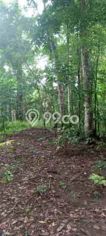Dijual Tanah di Cinangka Serang Luas 2874m2 AJB Dijual Tanah di Cinangka Serang Luas 2874m2 AJB
