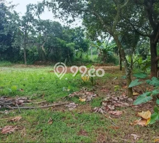 Tanah Strategis Dijual di Tajur Halang Bogor 610m2 Tanah Strategis Dijual di Tajur Halang Bogor 610m2