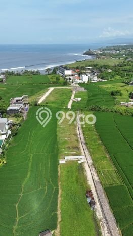 Lahan Dijual Lokasi Strategis di Badung dengan Luas 170m2 Lahan Dijual Lokasi Strategis di Badung dengan Luas 170m2