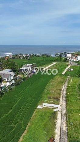 Lahan Dijual Lokasi Strategis di Badung dengan Luas 170m2 Lahan Dijual Lokasi Strategis di Badung dengan Luas 170m2