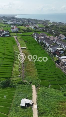 Lahan Dijual Lokasi Strategis di Badung dengan Luas 170m2 Lahan Dijual Lokasi Strategis di Badung dengan Luas 170m2
