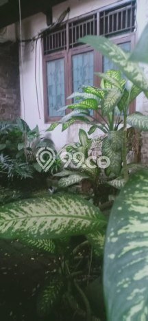 Siap Huni Rumah Mewah 5 Kamar di Duren Sawit Dekat ke Mana Pun Siap Huni Rumah Mewah 5 Kamar di Duren Sawit Dekat ke Mana Pun