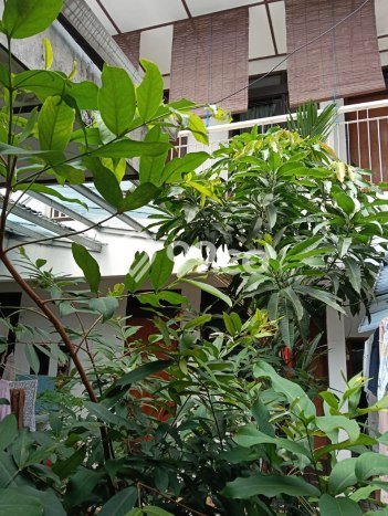 Rumah Elit LB 150m2 Siap Pakai Desain Elegan di Bendungan Hilir, Jakarta Pusat Rumah Elit LB 150m2 Siap Pakai Desain Elegan di Bendungan Hilir, Jakarta Pusat