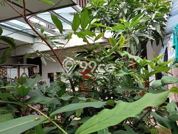 Rumah Elit LB 150m2 Siap Pakai Desain Elegan di Bendungan Hilir, Jakarta Pusat Rumah Elit LB 150m2 Siap Pakai Desain Elegan di Bendungan Hilir, Jakarta Pusat