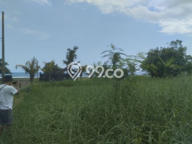 Dijual Tanah Lokasi Gubug, Tabanan Seluas 12400m2 Dijual Tanah Lokasi Gubug, Tabanan Seluas 12400m2