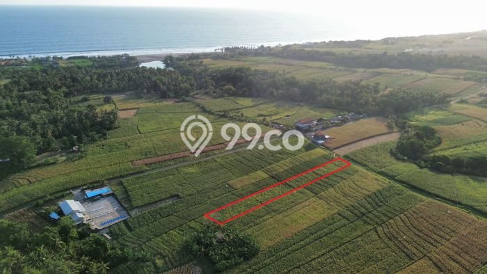 HARGA MENARIK! Tanah Kawasan Beraban, Luas 2080m², Lokasi Potensial, Bebas Longsor HARGA MENARIK! Tanah Kawasan Beraban, Luas 2080m², Lokasi Potensial, Bebas Longsor