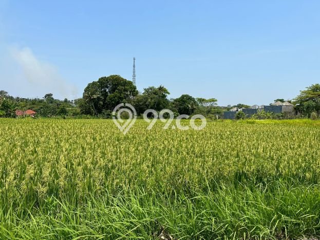 Tanah Dijual Lokasi Strategis di Badung dengan Luas 1190m2 Tanah Dijual Lokasi Strategis di Badung dengan Luas 1190m2