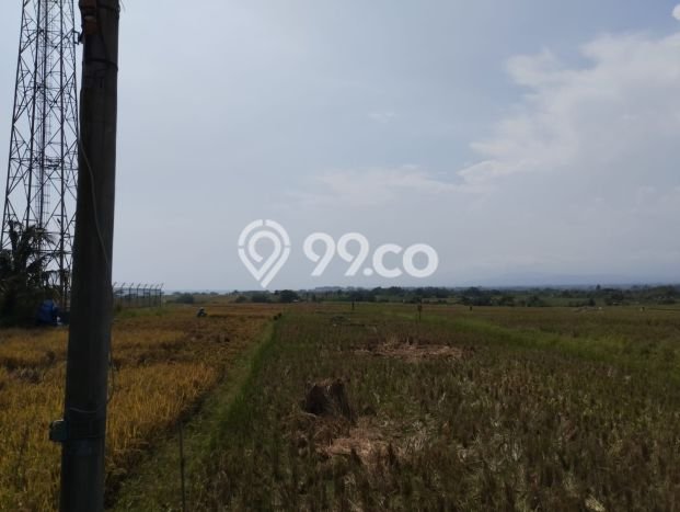 Tanah Lokasi Strategis Kawasan Kelating, Luas 1200m², Dekat ke Fasilitas Tanah Lokasi Strategis Kawasan Kelating, Luas 1200m², Dekat ke Fasilitas