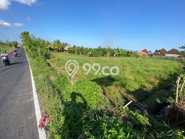 Tanah Kavling Dijual di Sibang Gede, Badung dengan Luas Tanah 4350m2 Tanah Kavling Dijual di Sibang Gede, Badung dengan Luas Tanah 4350m2