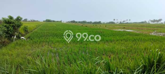 Kavling Tanah untuk Dijual di Tibubiyu, Tabanan, Luas 7100m2 Kavling Tanah untuk Dijual di Tibubiyu, Tabanan, Luas 7100m2