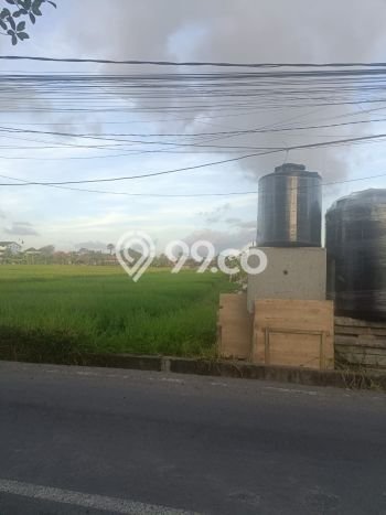Tanah Dijual Area Strategis di canggu Badung 3000m2 Tanah Dijual Area Strategis di canggu Badung 3000m2