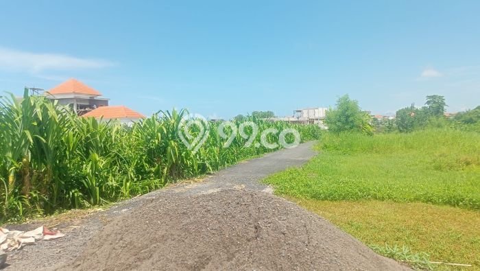 Jual Tanah Area Prospektif di Canggu, Luas 1450m2m², Akses Canggu, Badung, Badung Jual Tanah Area Prospektif di Canggu, Luas 1450m2m², Akses Canggu, Badung, Badung