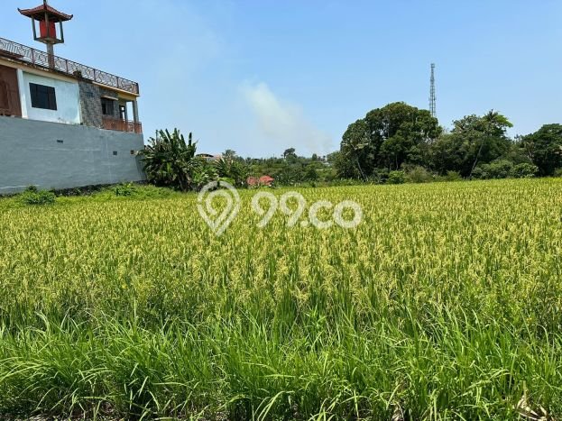 Tanah Dijual Lokasi Strategis di Badung dengan Luas 1190m2 Tanah Dijual Lokasi Strategis di Badung dengan Luas 1190m2