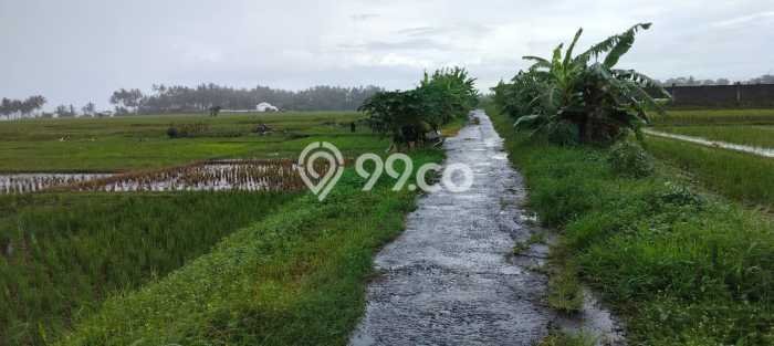 Kavling Tanah untuk Dijual di Tibubiyu, Tabanan, Luas 7100m2 Kavling Tanah untuk Dijual di Tibubiyu, Tabanan, Luas 7100m2