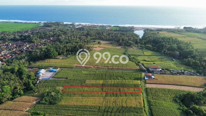 HARGA MENARIK! Tanah Kawasan Beraban, Luas 2080m², Lokasi Potensial, Bebas Longsor HARGA MENARIK! Tanah Kawasan Beraban, Luas 2080m², Lokasi Potensial, Bebas Longsor