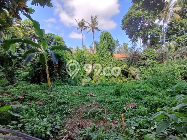 Tanah Area Potensial di Ubud, Luas 500m², Kawasan Asri, Dekat Ubud, Gianyar, Gianyar Tanah Area Potensial di Ubud, Luas 500m², Kawasan Asri, Dekat Ubud, Gianyar, Gianyar