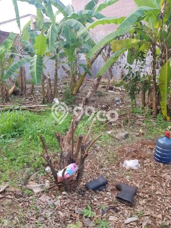Tanah Dijual Area Strategis di Gading Serpong Tangerang 528m2 Tanah Dijual Area Strategis di Gading Serpong Tangerang 528m2