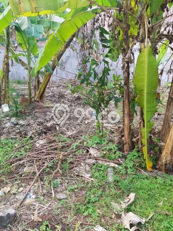 Tanah Dijual Area Strategis di Gading Serpong Tangerang 528m2 Tanah Dijual Area Strategis di Gading Serpong Tangerang 528m2
