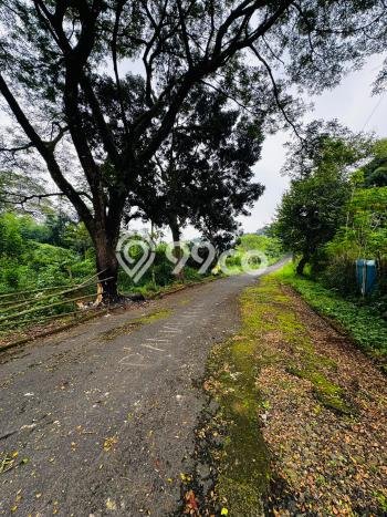 Jual Rumah Luas Elegan Dengan View Cantik di Cinere, Jakarta Selatan Jual Rumah Luas Elegan Dengan View Cantik di Cinere, Jakarta Selatan