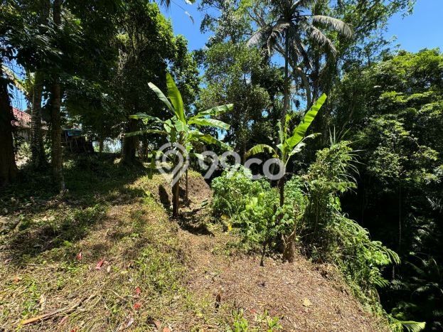 Tanah Kawasan Ubud, Luas 1370m2m², Dekat Ubud, Gianyar, Gianyar Tanah Kawasan Ubud, Luas 1370m2m², Dekat Ubud, Gianyar, Gianyar