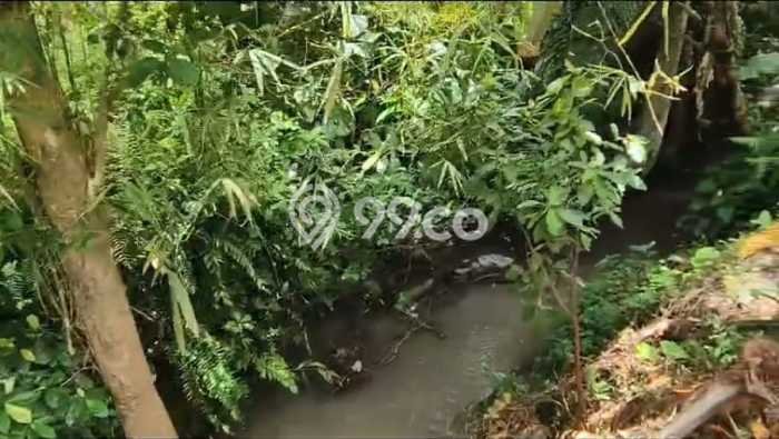 Lahan untuk Dijual Lokasi Ubud, Gianyar Luas 757m2 SHM Lahan untuk Dijual Lokasi Ubud, Gianyar Luas 757m2 SHM